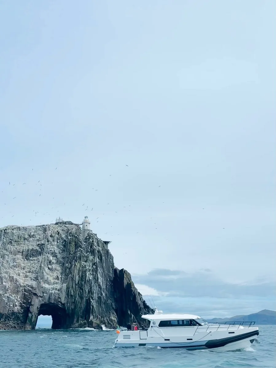 The Bull Run For Fun 2026 - Image 4