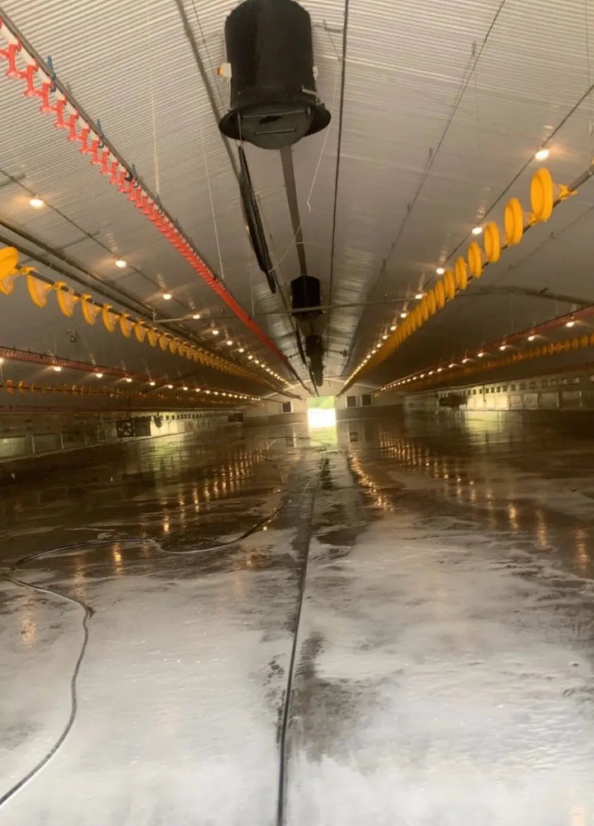 POWERWASHING POULTRY HOUSES AND AGRICULTURAL SHEDS - Image 1