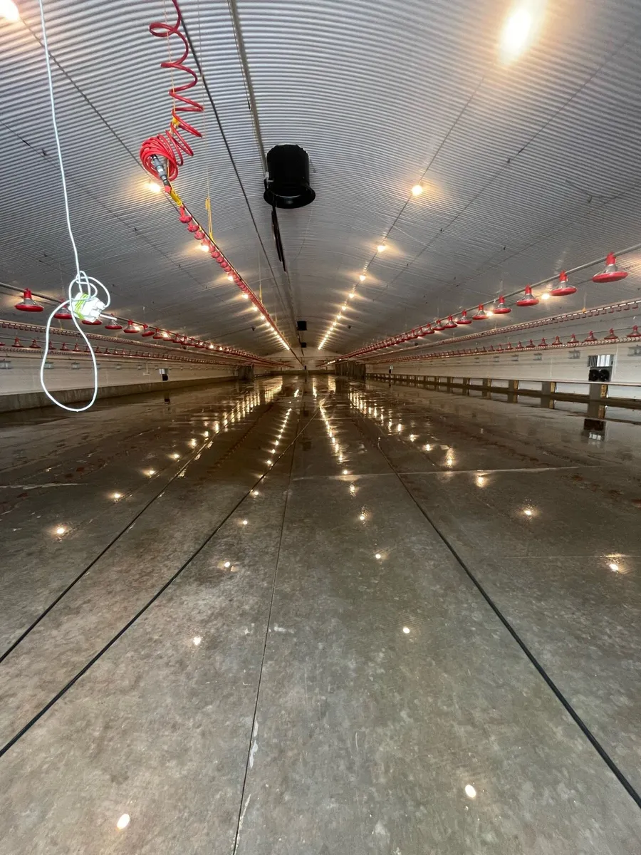 POWERWASHING POULTRY HOUSES AND AGRICULTURAL SHEDS - Image 2