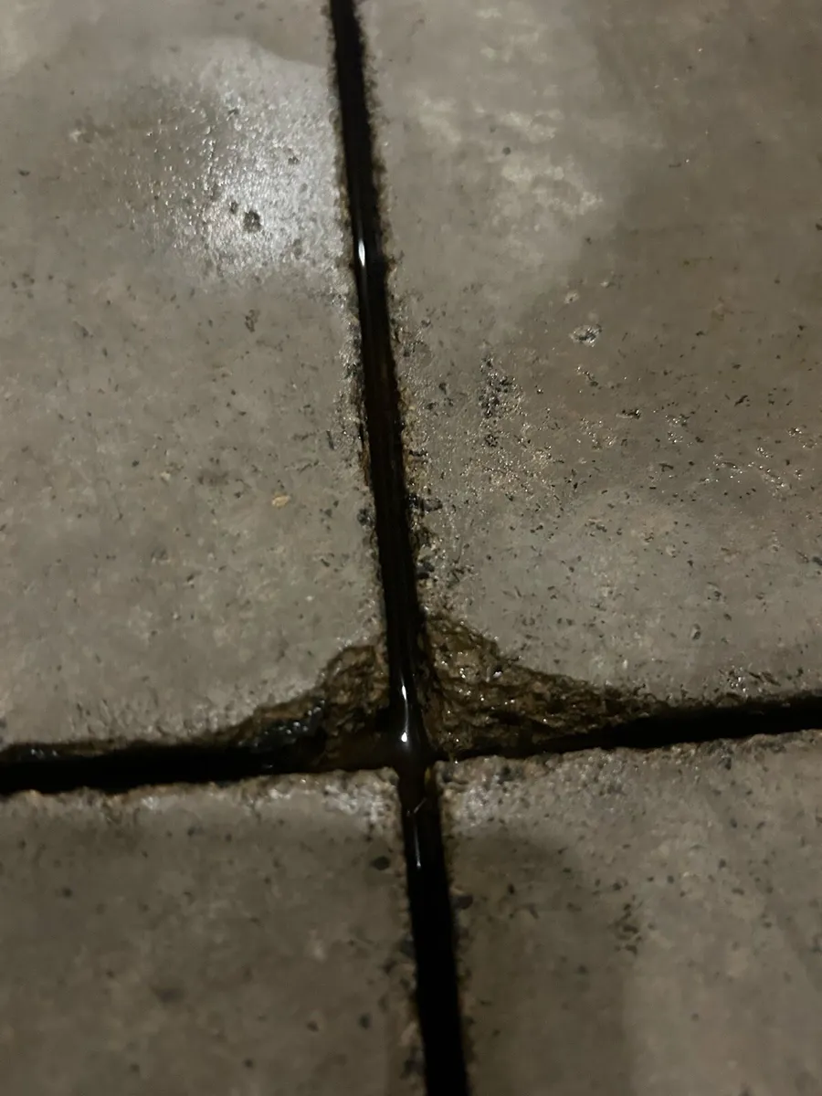 POWERWASHING POULTRY HOUSES AND AGRICULTURAL SHEDS - Image 4