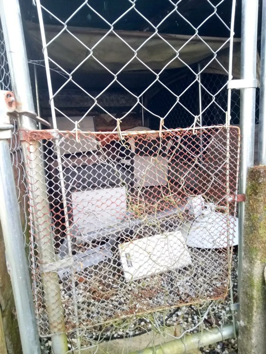 Dog Run 10ftx5.4ft and Several Small Kennels - Image 1