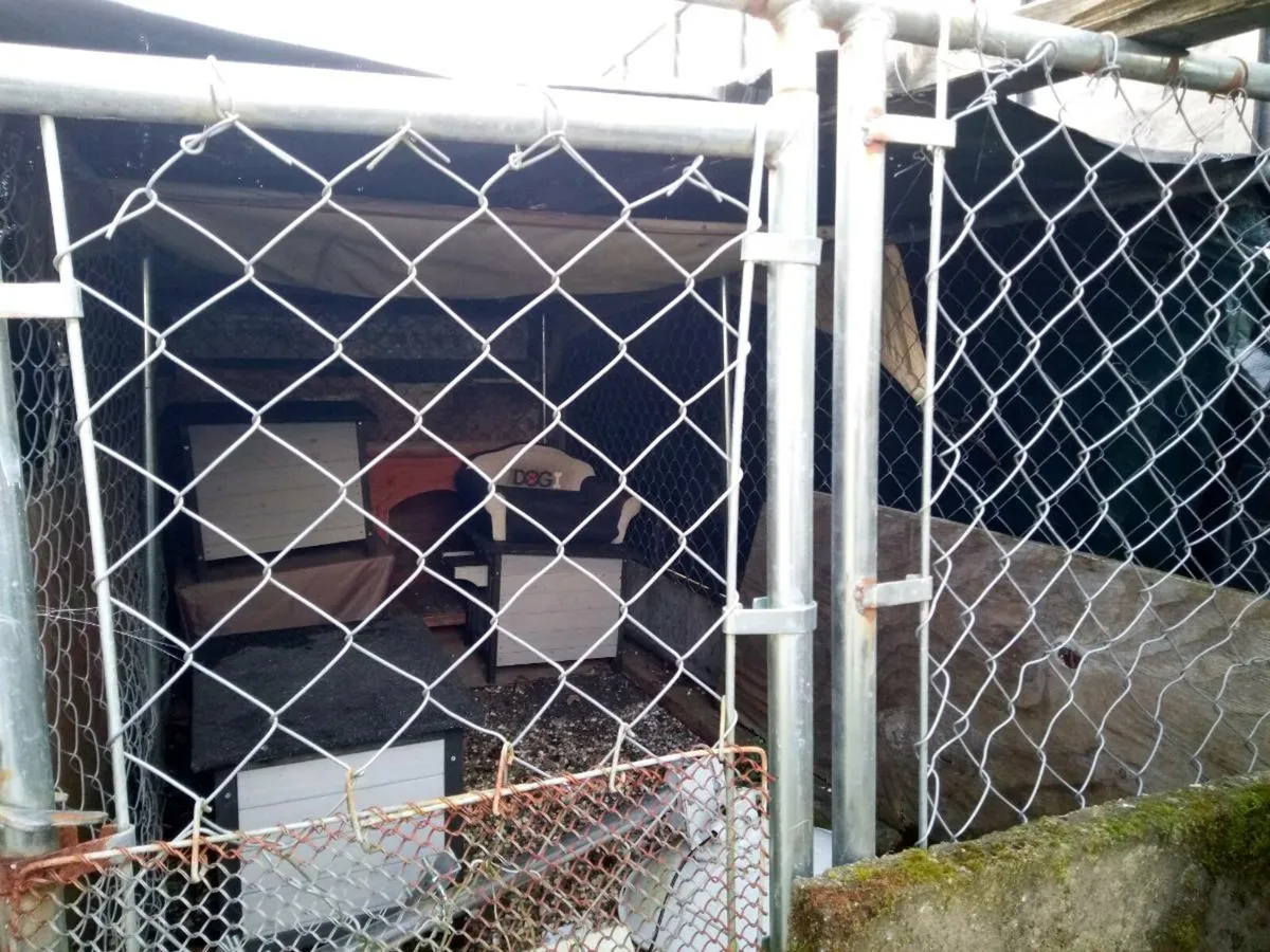 Dog Run 10ftx5.4ft and Several Small Kennels - Image 2