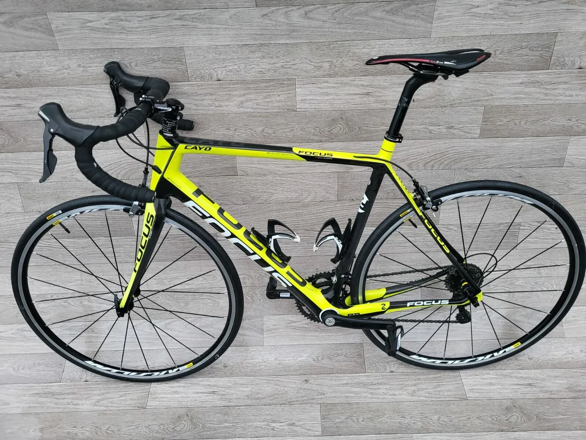 Focus Cayo, FULL CARBON, SHIMANO ULTEGRA - Image 2