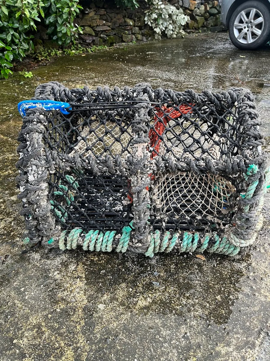 500 22”pots - Image 2