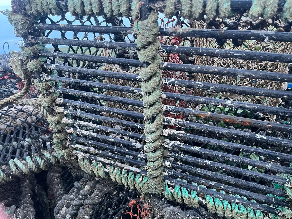 500 22”pots - Image 3