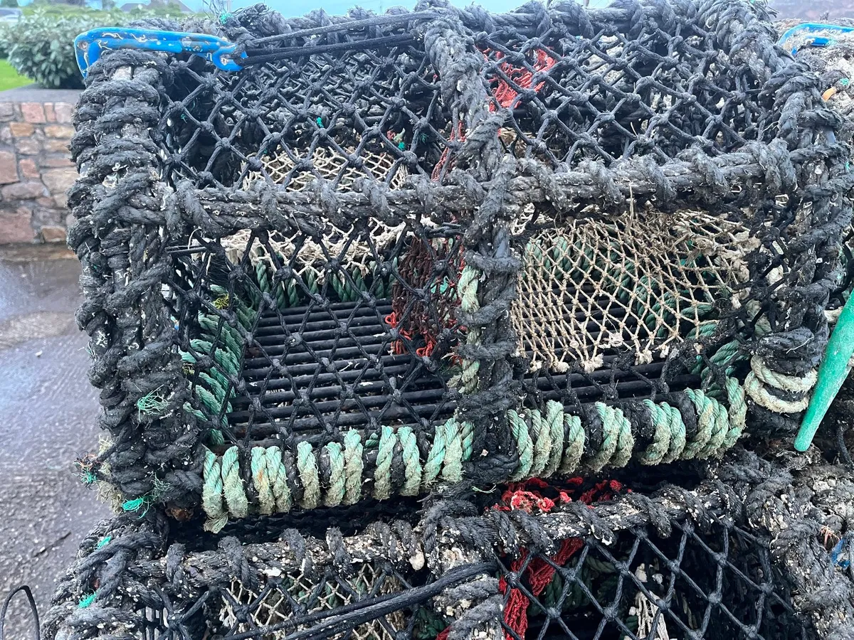 500 22”pots - Image 4