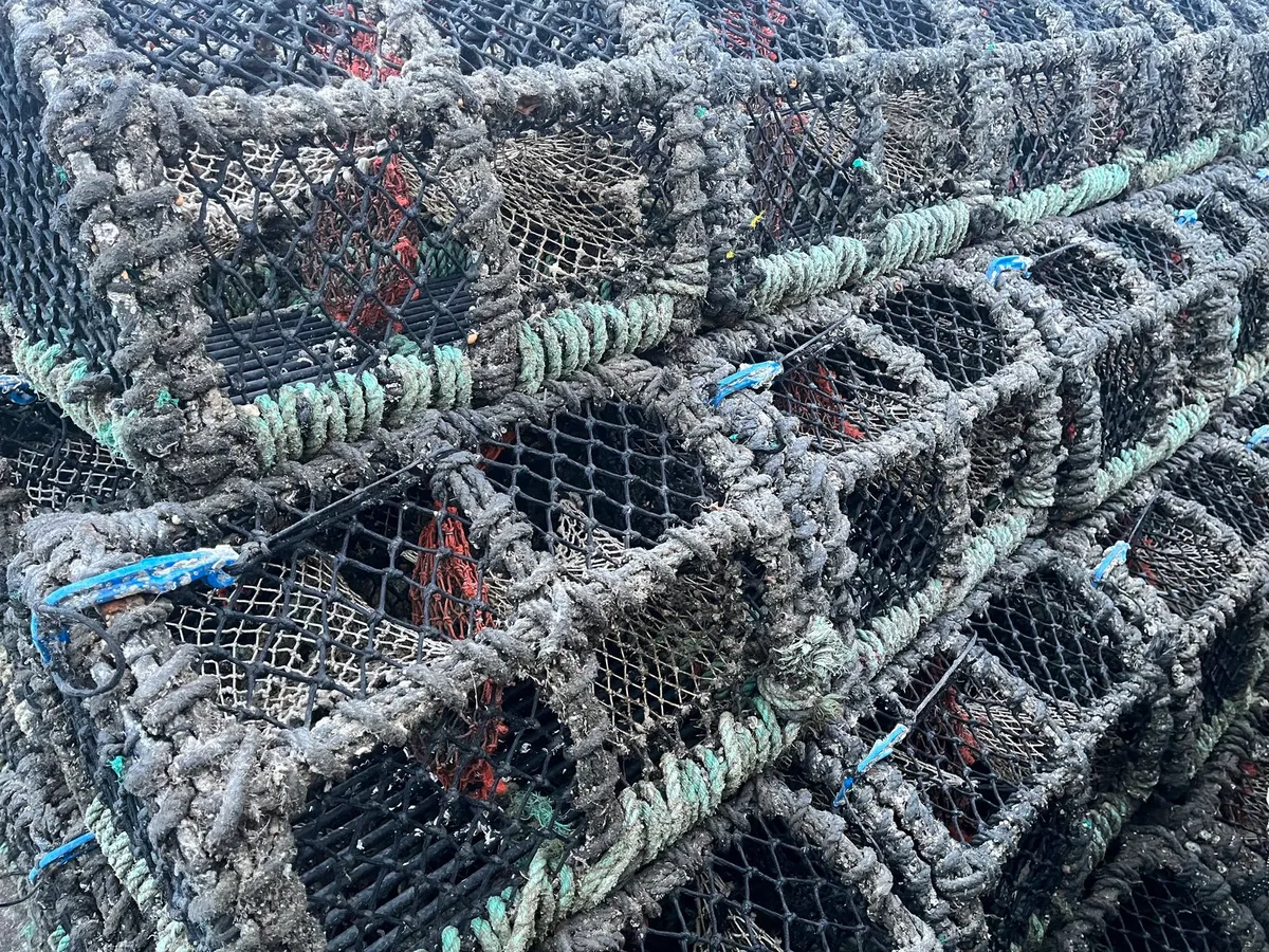 500 22”pots - Image 1