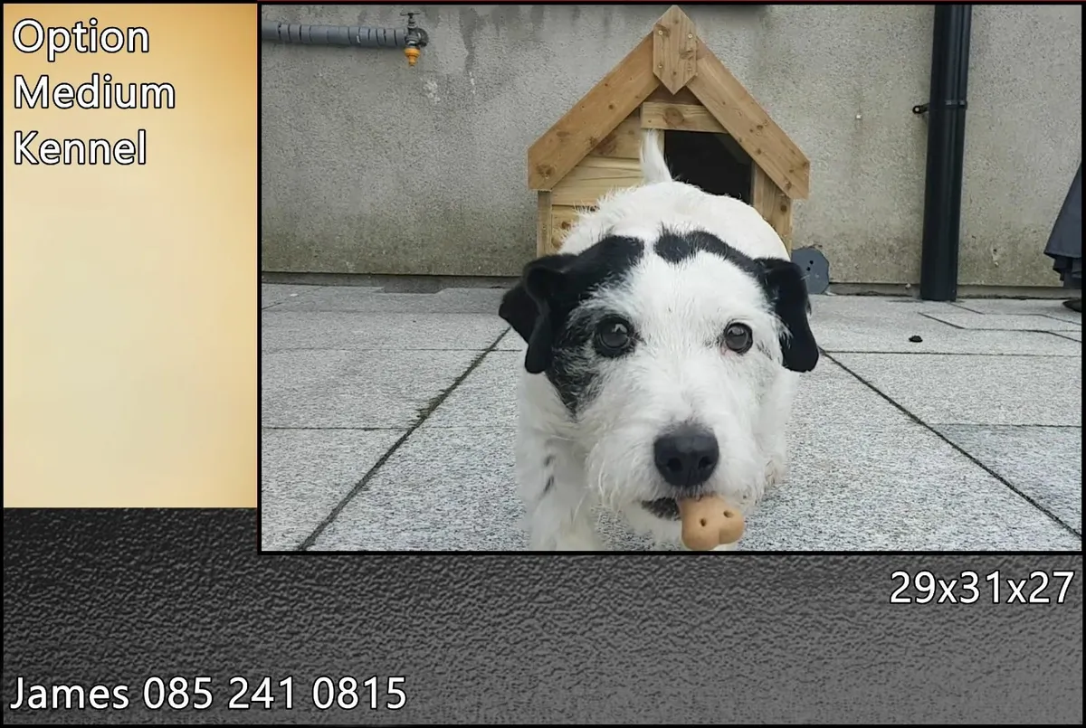 Dog Boxes Made to Order - Image 4