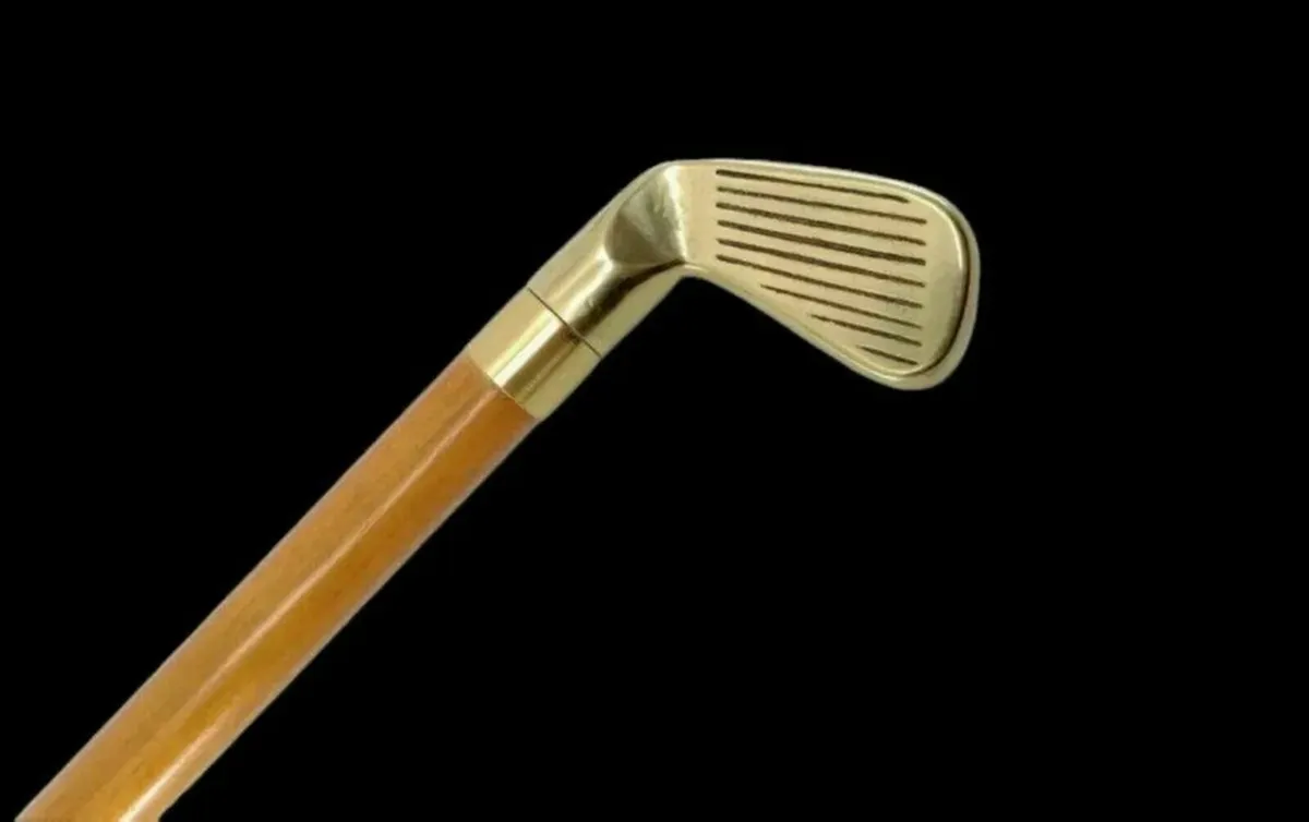 Vintage Walking/Drinking Stick - Image 1