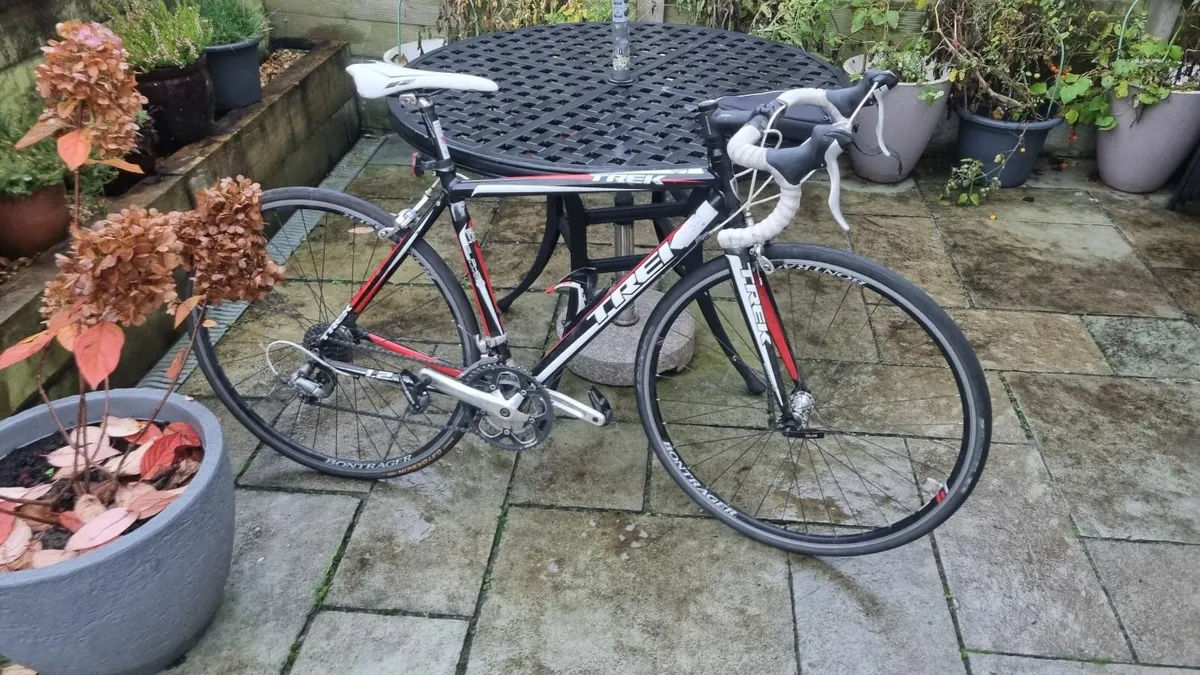 Trek Road Bike