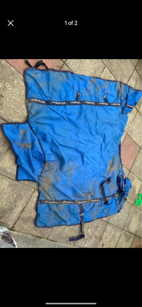 Waterproof turnout rug