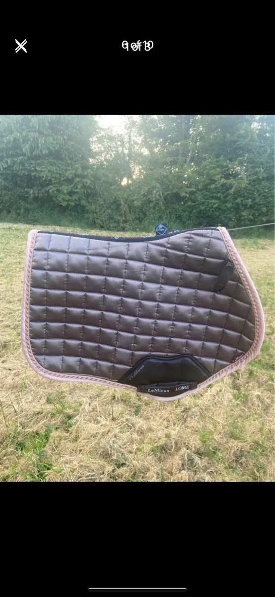 Lemieux saddle pad