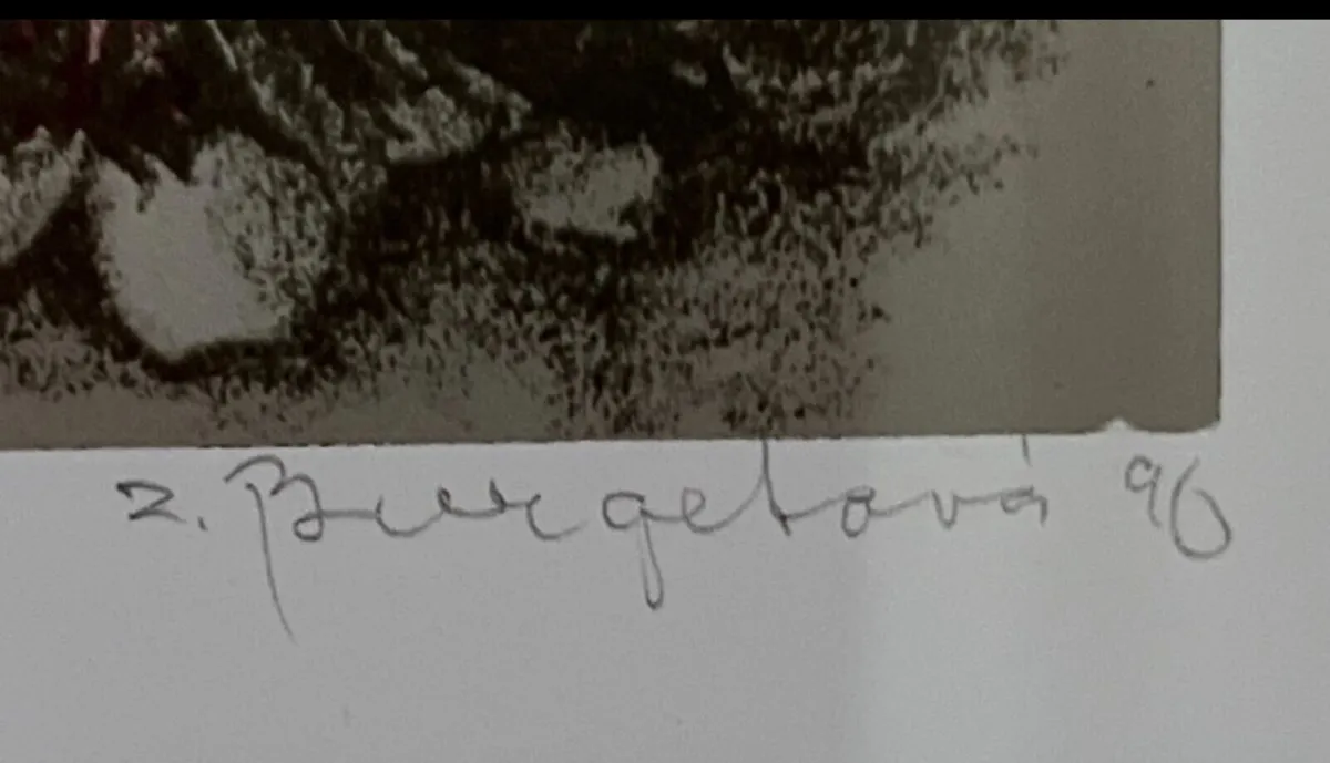 Zdenka Burgetova Limited edition signed print - Image 2