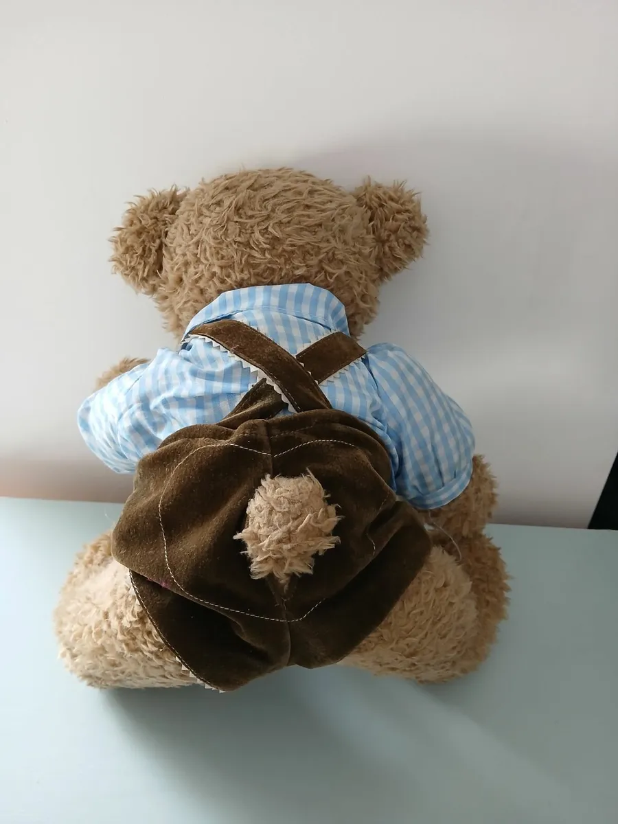 Vintage Austrian teddy bear in traditional clothe - Image 1