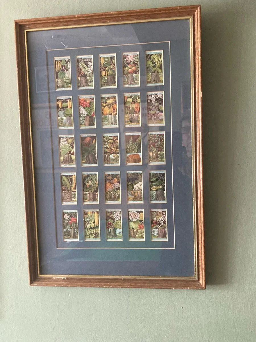 Pub Memorabilia - Image 2