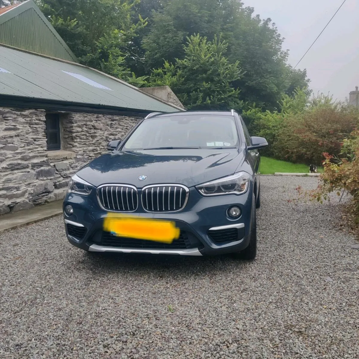 BMW X1 - Image 1