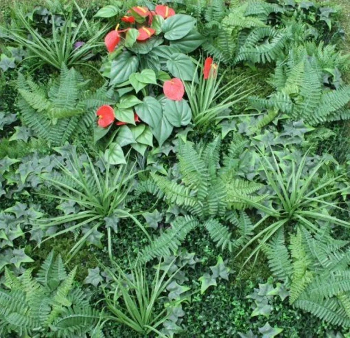 Wonder-Wal Shutter grass With Anthurium Wall Panel