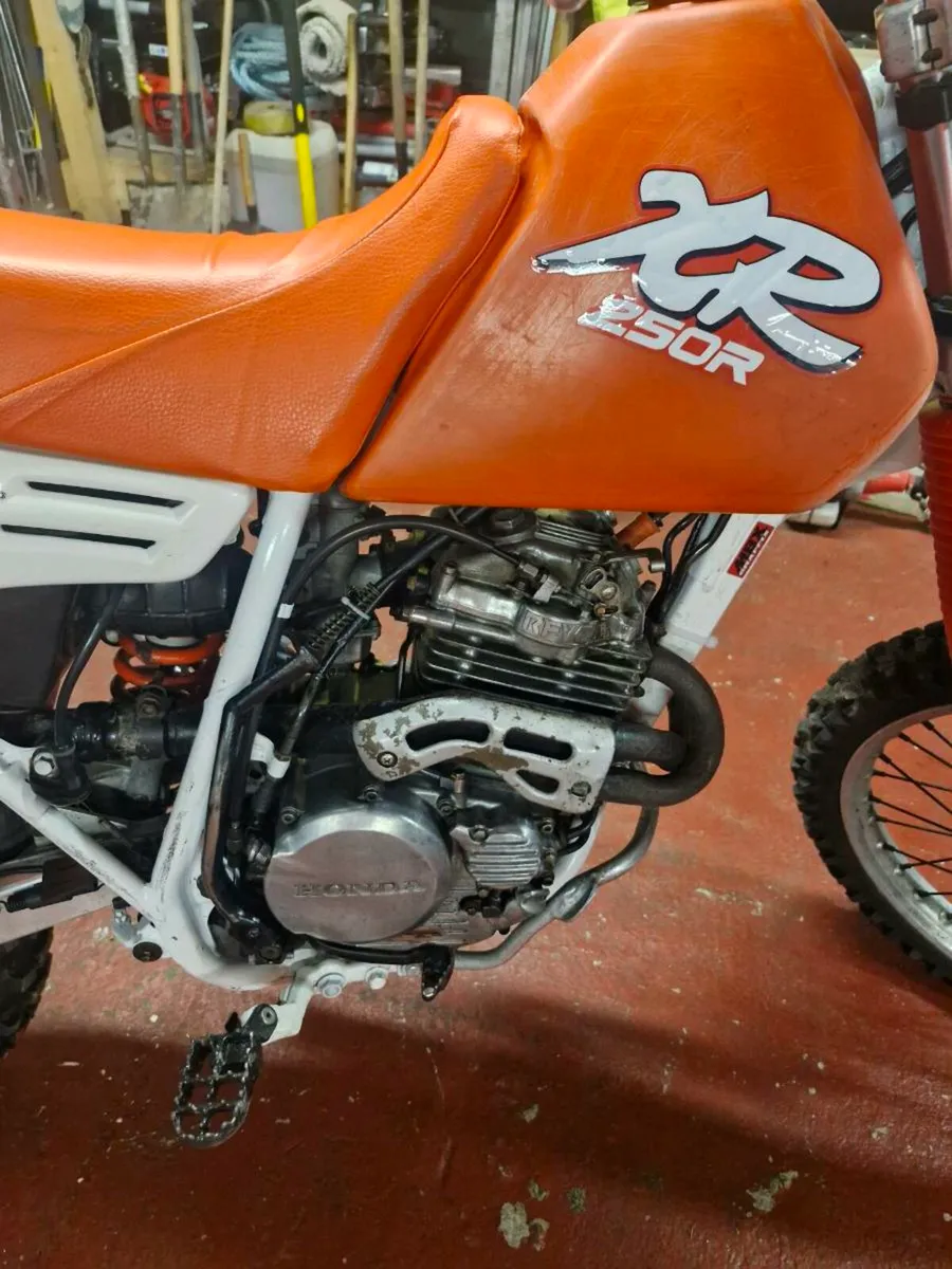 Honda xr250r - Image 3