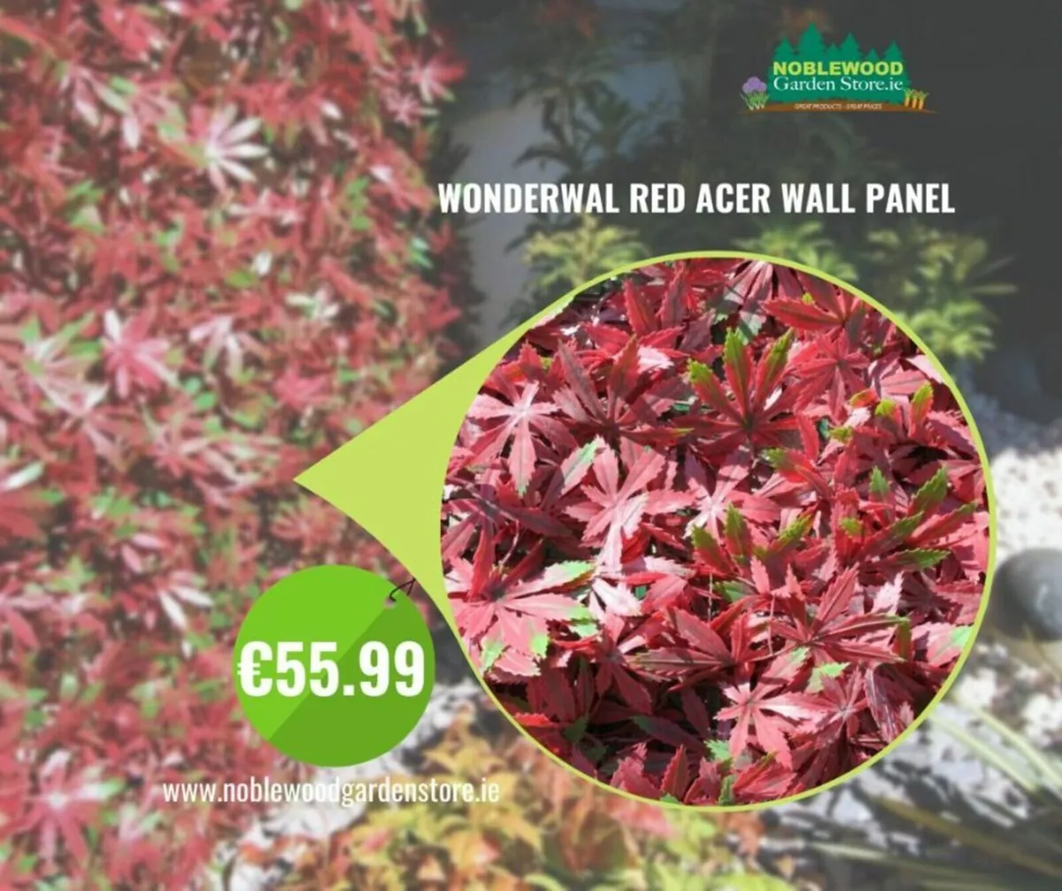 WonderWal Red Acer Wall Panel