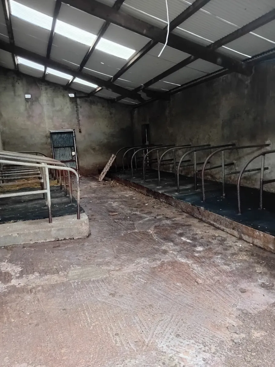 Cubicle house and calf house available for winter - Image 1