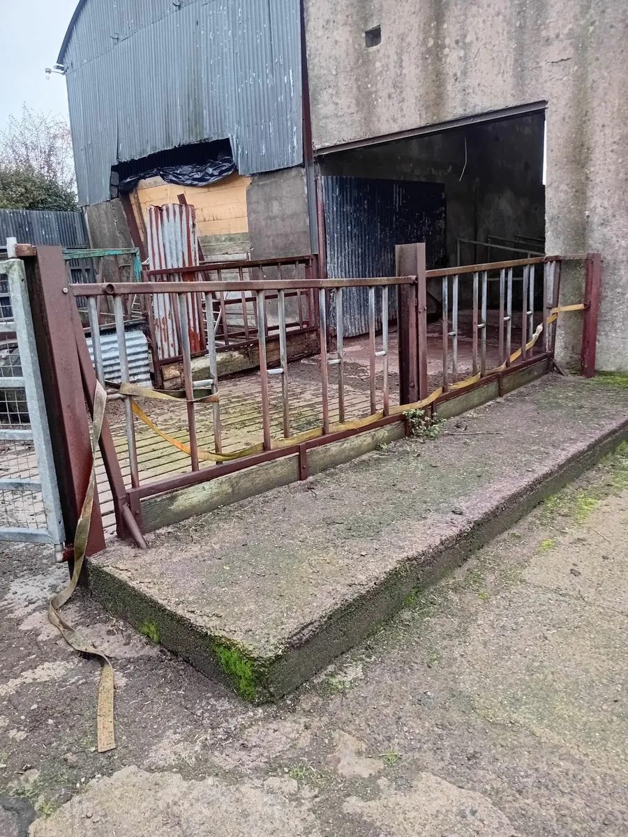 Cubicle house and calf house available for winter - Image 2