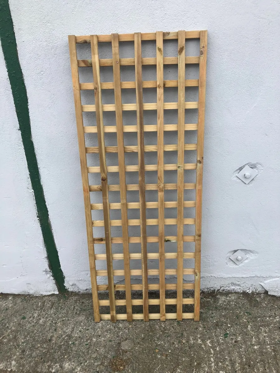 Trellis (Square Trellis) - Image 1