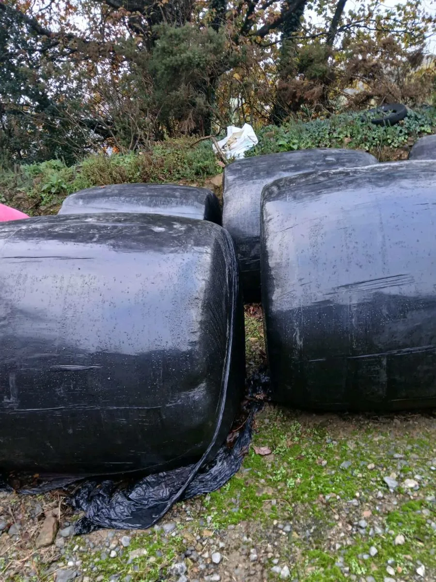 Silage - Image 1