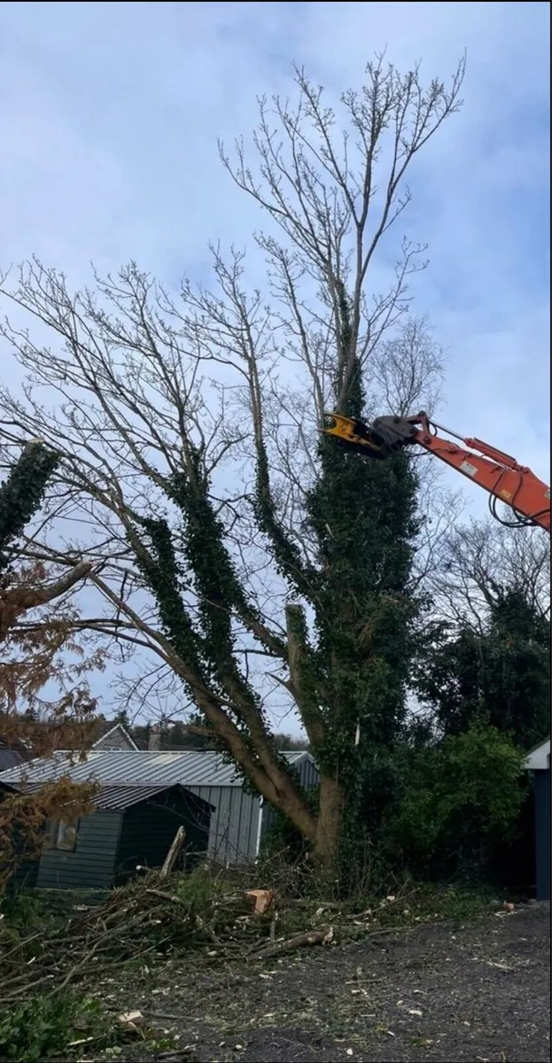 Digger Hire - Image 2