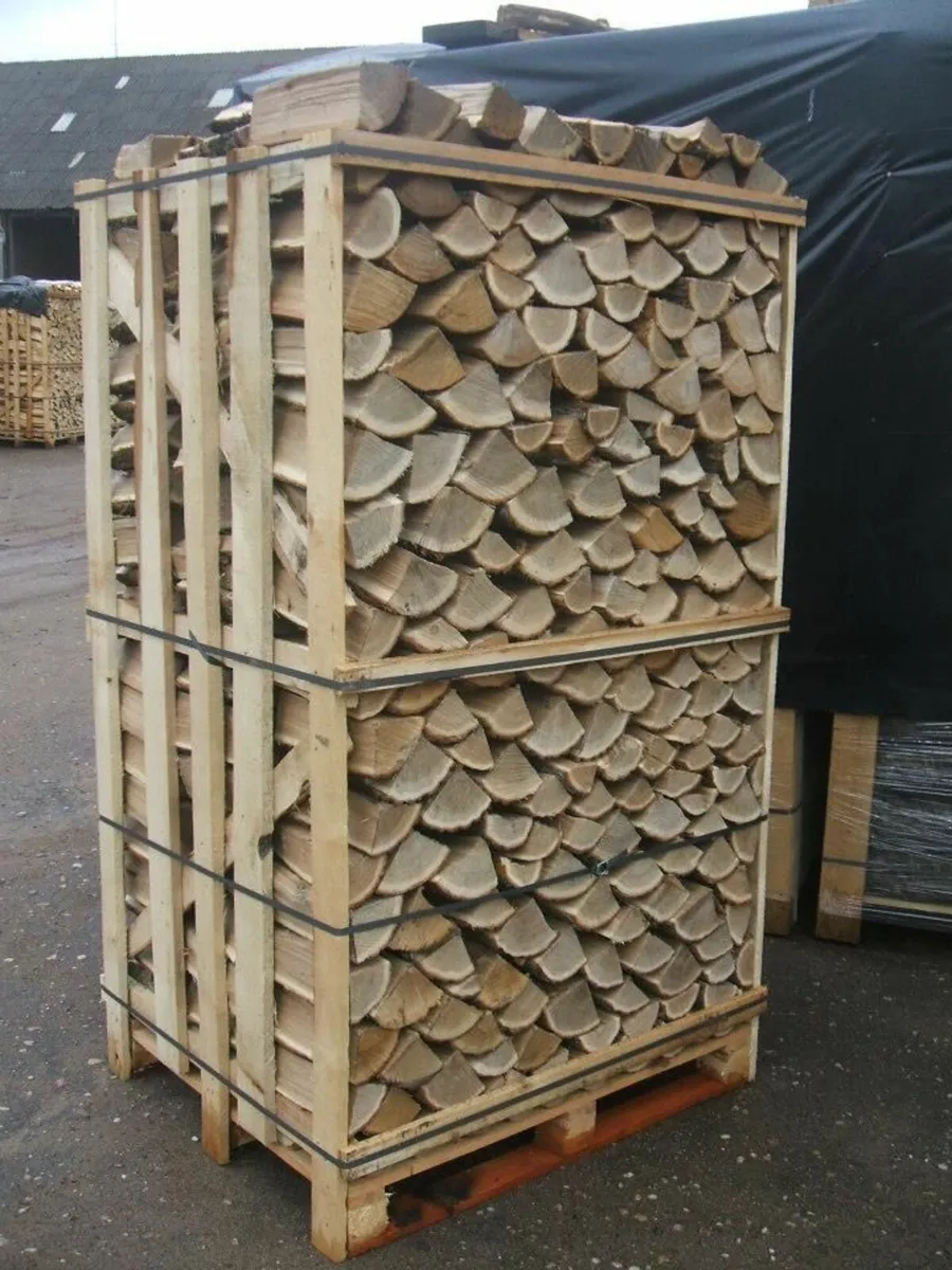 Birch firewood Kiln Dried Large