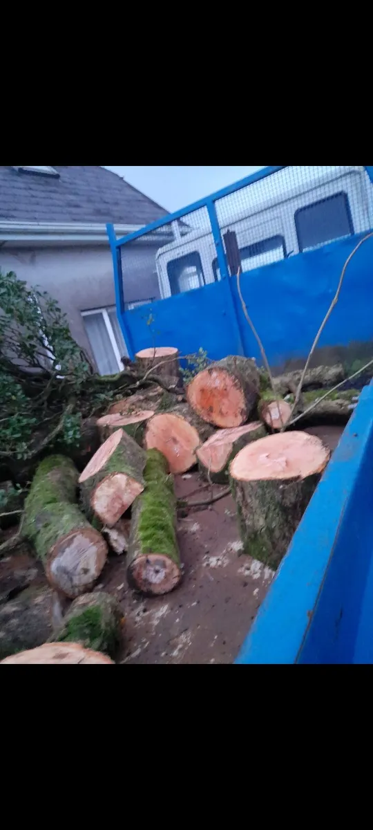 Cheap tipper truck - Image 4