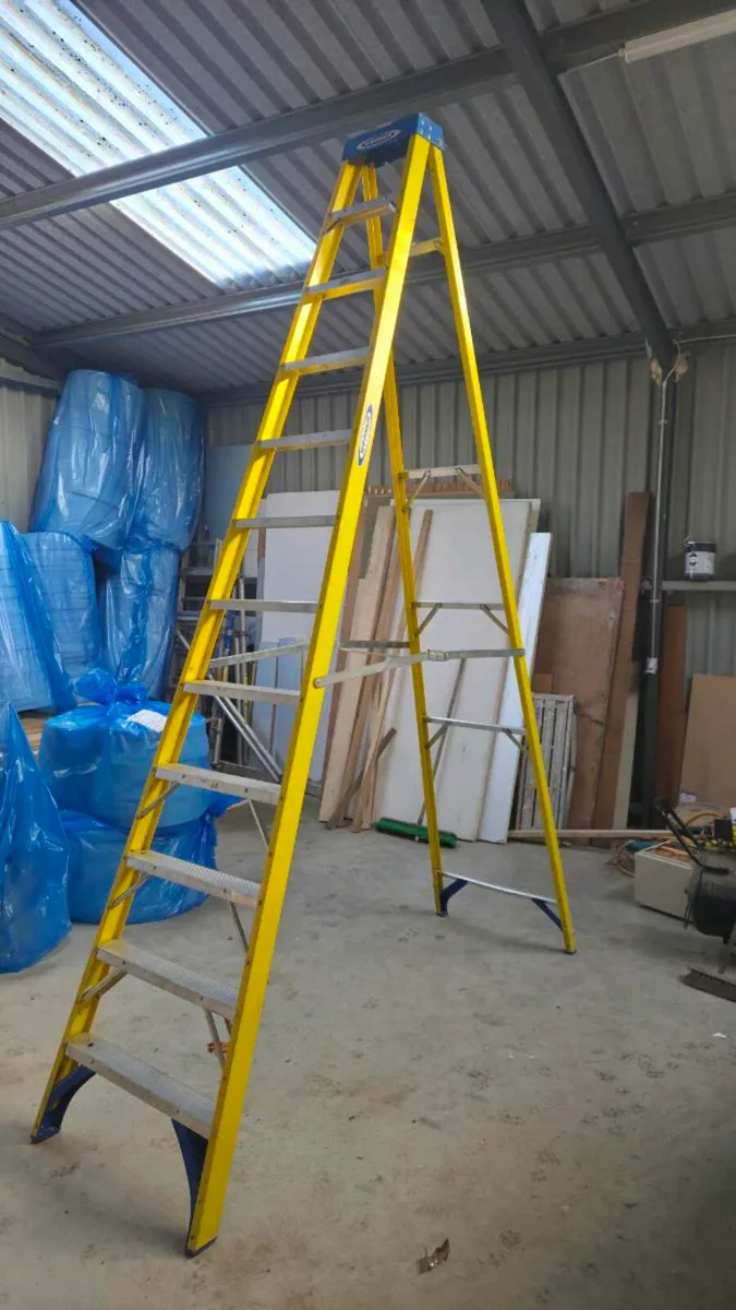 Werner 12 step ladder - Image 1
