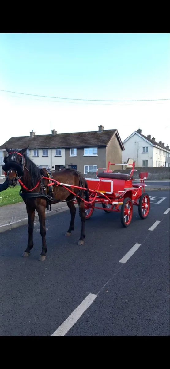 Ride and drive horse