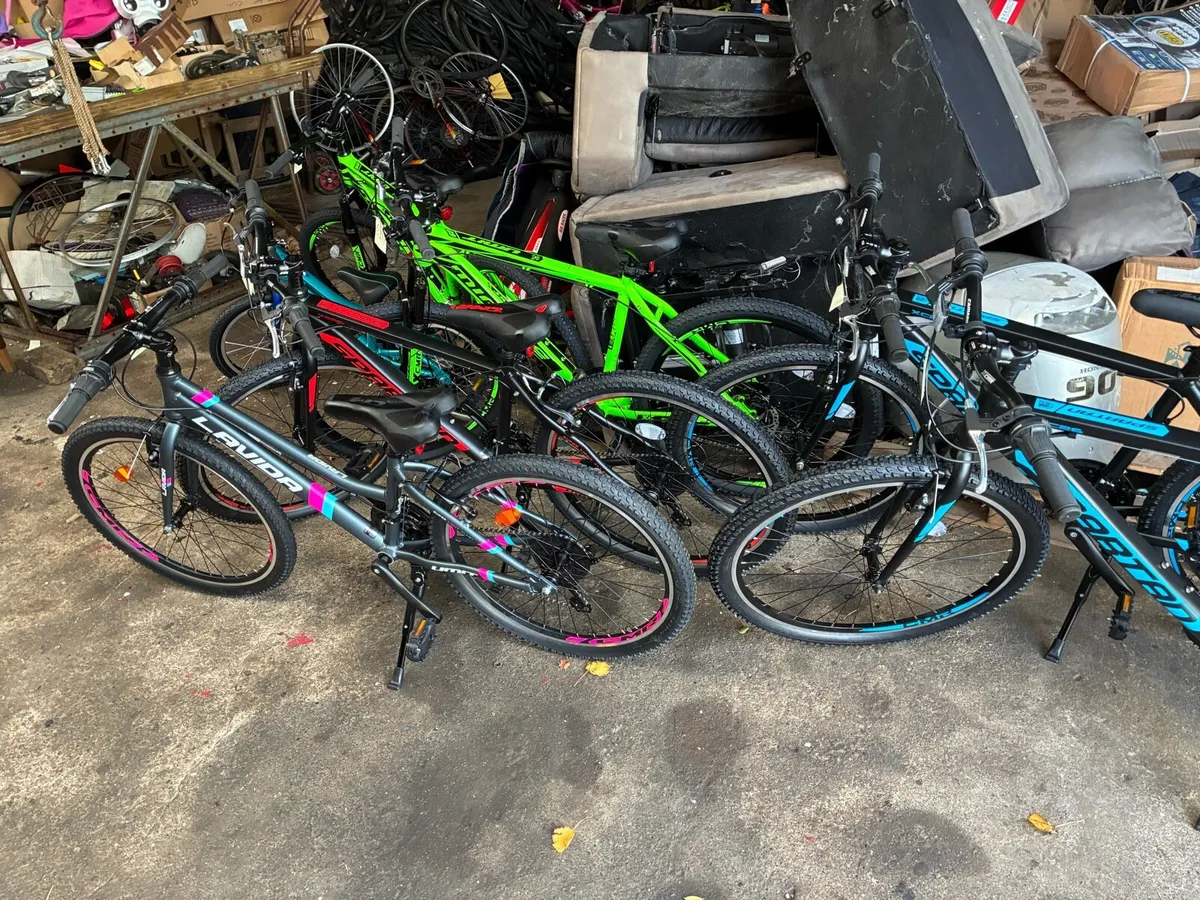 Bicycles - Image 1
