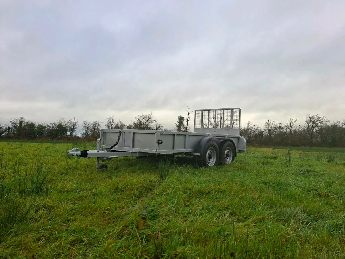 12ft x 6ft for Williams plant trailer - Image 4