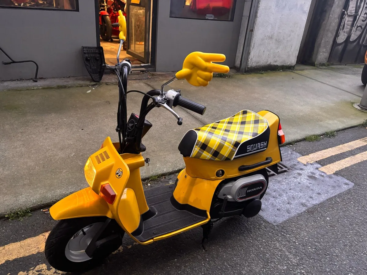 1980 Very Rare Honda Squash Mint - Image 2