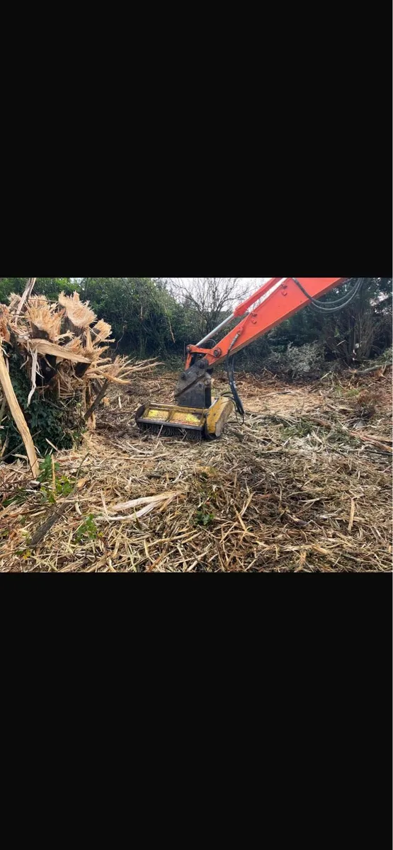 Seppi mulcher for sale - Image 1