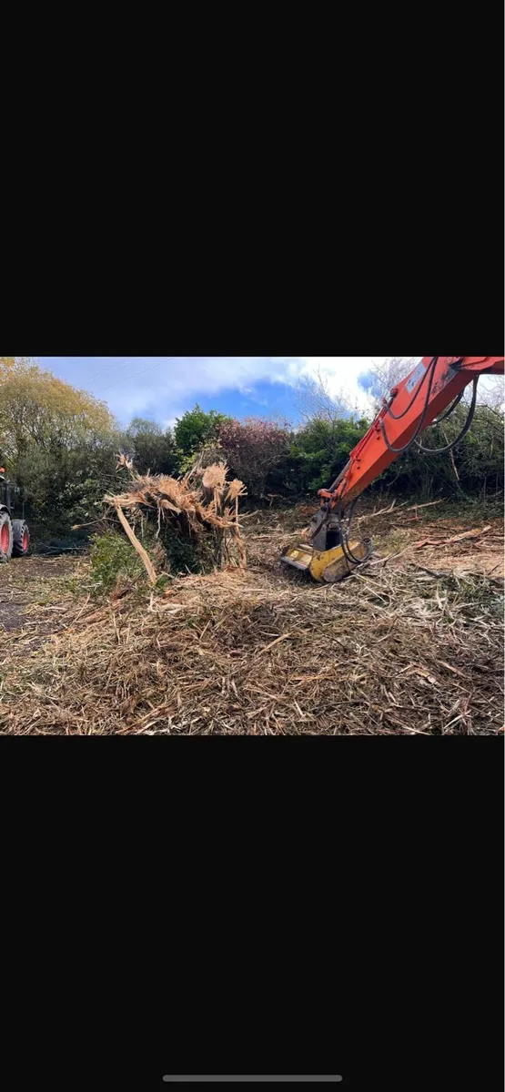 Seppi mulcher for sale - Image 2