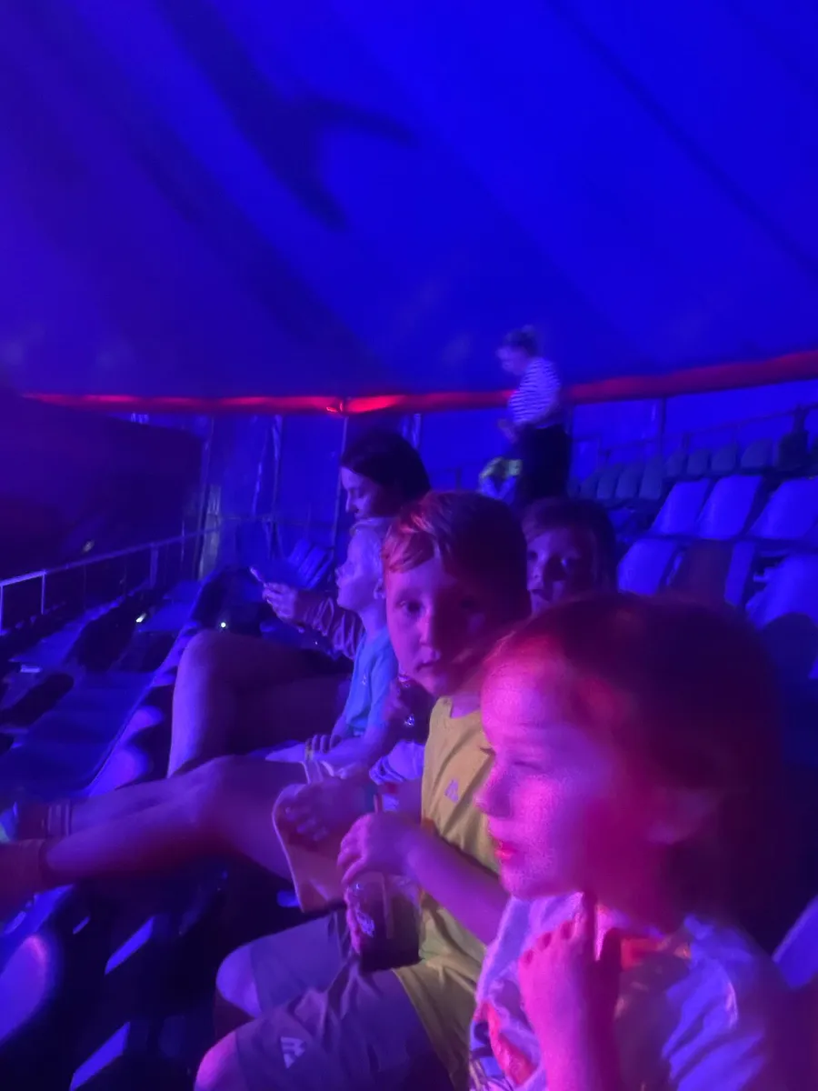 Bugaboo bee - Image 2