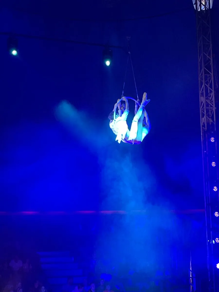 Bugaboo bee - Image 3