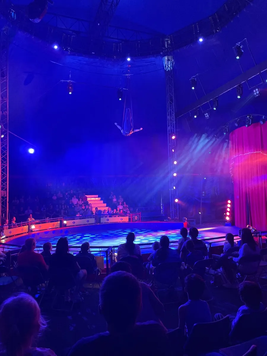 Bugaboo bee - Image 4