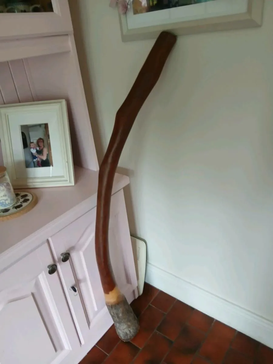Didgeridoo - Image 2
