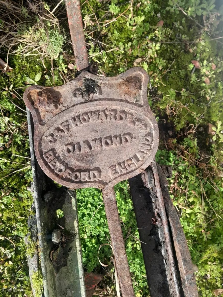 Howard gruber - Image 2