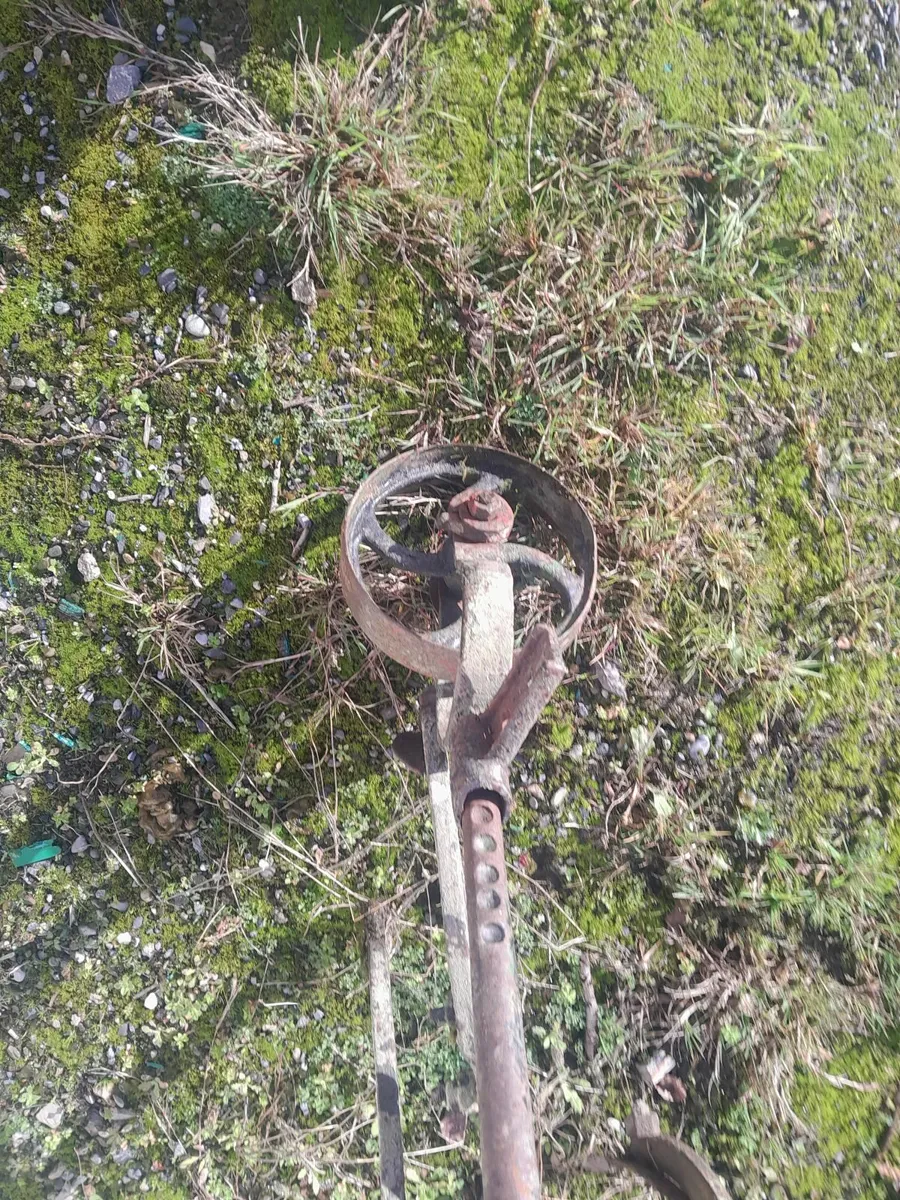 Howard gruber - Image 3