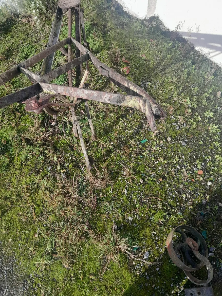 Howard gruber - Image 4