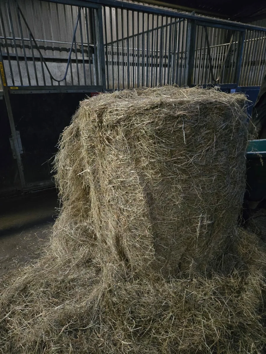 Good quality horse haylage for sale.