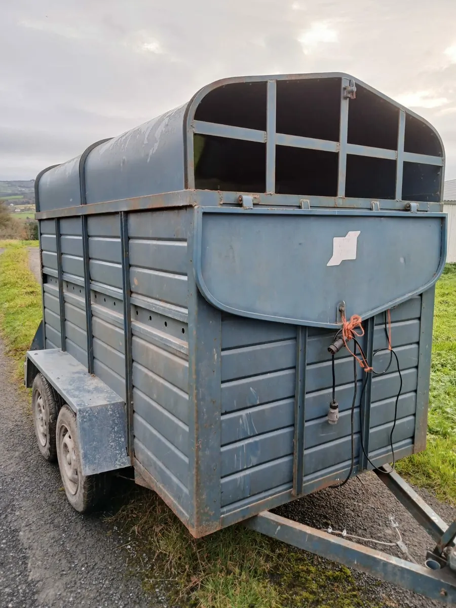 8x4 cowbox - Image 1