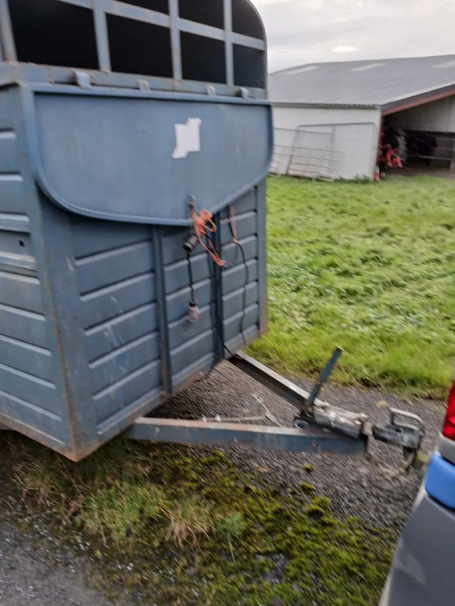 8x4 cowbox - Image 3