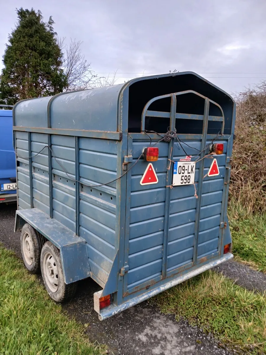 8x4 cowbox - Image 4