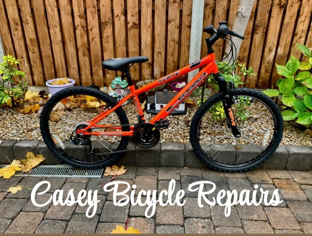 24” Bike Excellent Condition - Image 1