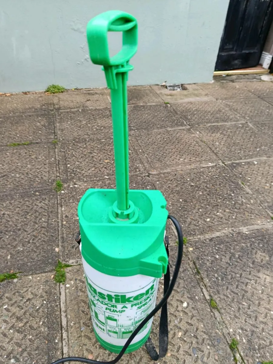 Pressurised water pump sprayer - Image 1